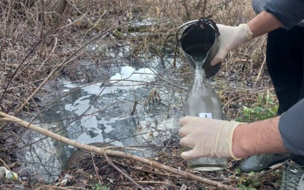 One of the water utilities in the Kiev region was caught discharging water with excess ammonium content into the Rosi basin 

<p> The State Environmental Inspectorate of the Capital District established that the Skvira-vodokanal enterprise “from December 13 to 26, it discharged water with significant excesses of the standardized values ​​of pollutants into the Skvirka River (a tributary of the Ros River).</p>
<p>The press service of the State Environmental Inspectorate reported this.</p>
<p>“Victory in the nomination “The greatest pollution of water resources 2023” goes to one of the water utilities of the Kiev region, which discharges water into the Skvirka River with an excess of ammonium content by 78 times! – environmentalists reported.</p>
<p>Subscribe to our Youtube channel</p>
<p>Inspectors also recorded an excess of 6 more substances.</p>
<p>The State Inspectorate of the Capital District assured that inspectors will collect all the data necessary to carry out the calculation. After this, the company will be presented with a claim for compensation for damage caused to the environment.</p>
<p><!--noindex--></p>
<p><a rel=