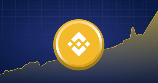 The price of BNB has risen sharply over the past week and surpassed the $300 level