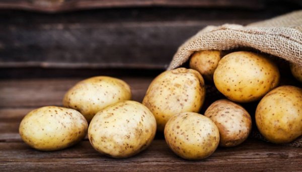 В Україні картопля подоржчала на 18% - EastFruit