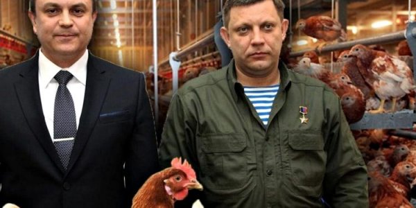 The CNS told how invaders in the occupied regions want to profit from the shortage of eggs in the Russian Federation