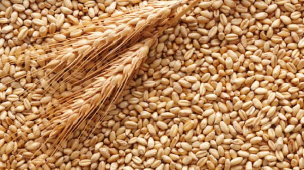 ЦНС: Россияне вывезли с оккупированных территорий почти 5 млн тонн зерна