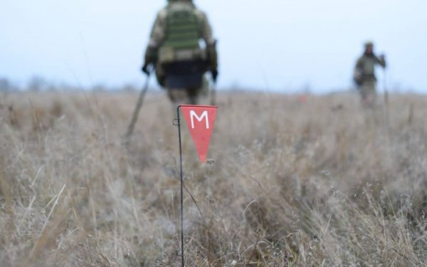 Four people were blown up by a mine in the Nikolaev region
