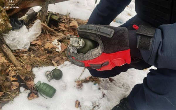 Three hand grenades were found in a forest in the Kiev region 