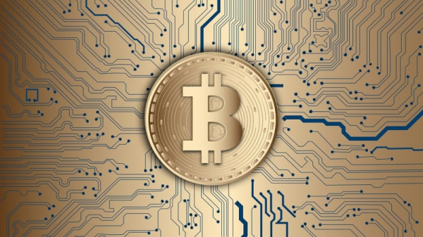 Bitcoin rose above $65 thousand 