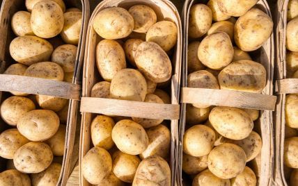  Potato prices have fallen in Ukraine 