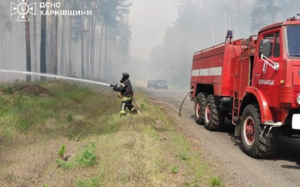 Shelling of the Kharkov region border provoked a ground forest fire on an area of ​​5 hectares