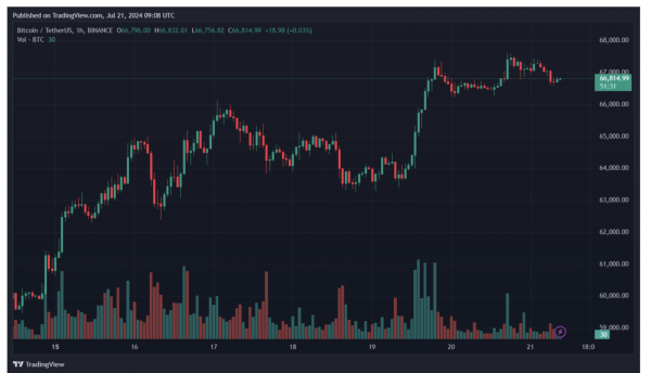 JPMorgan experts called the recovery of the crypto market a “temporary phenomenon” 