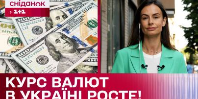  Exchange rate on August 30: how much the dollar, euro and zloty are worth 