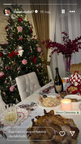  Wladimir Klitschko, Kharlan, Zinchenko and other Ukrainian athletes congratulated fans on Christmas (photo) 