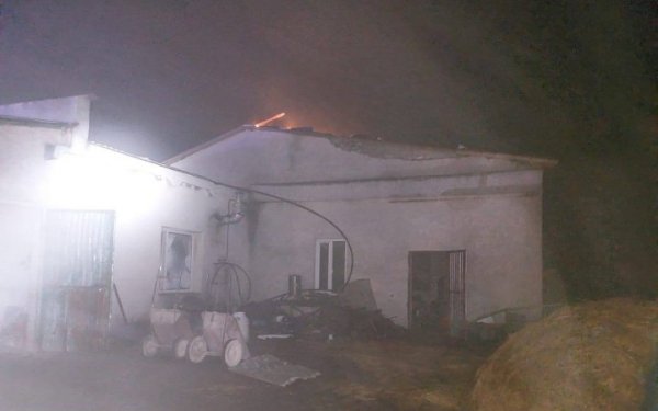 In Sumy region, as a result of the attack by “shahids”, a farm was damaged, cows were injured