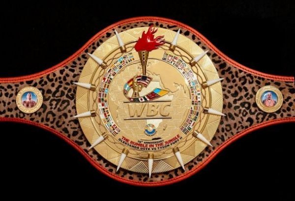  "Rumble in the jungle": Winner of the rematch Usyk – Fury will receive a unique belt (photo, video) 