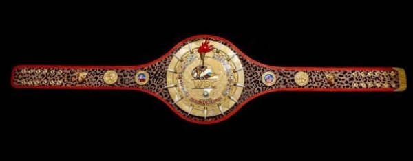  "Rumble in the Jungle": Winner of the rematch Usyk – Fury to receive a unique belt (photo, video) 