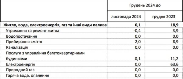 The State Statistics Service showed how the cost of utilities increased during 2024