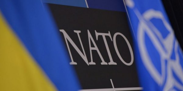 Former Ukrainian Foreign Minister explained what Kyiv should convey to Trump’s administration regarding NATO accession