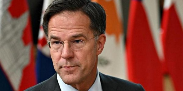 Rutte spoke about the prospects of telephone talks between Trump and Putin on February 12