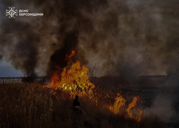 В ГСЧС показали последствия обстрела Херсонщины 1 и 2 марта (ФОТО)