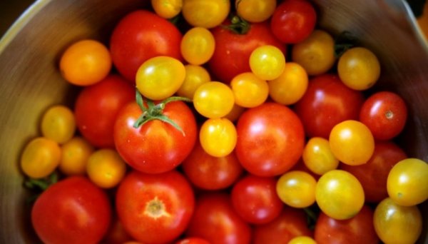 В Украине подорожали импортные помидоры - EastFruit