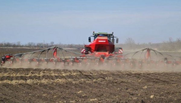 The Carpathian farmers have started sowing bright grains