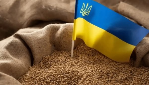 Украина экспортировала более 30,8 миллионов тонн зерновых