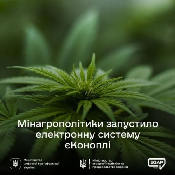 Ukraine Launches e-Hemp System – Who Will Be Able to Grow