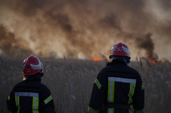 На Одещині горить один із національних природних парків