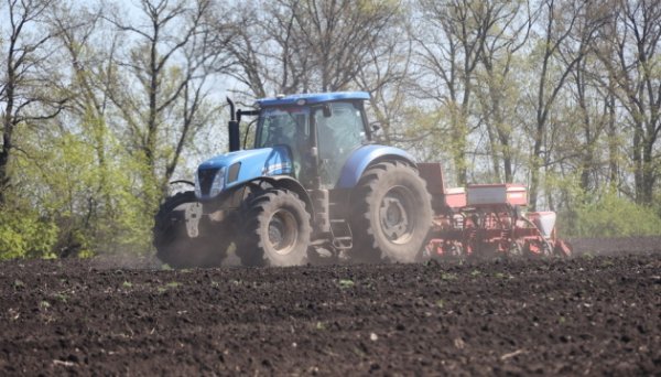 В Украине создадут Выплатное агентство для оказания помощи аграриям