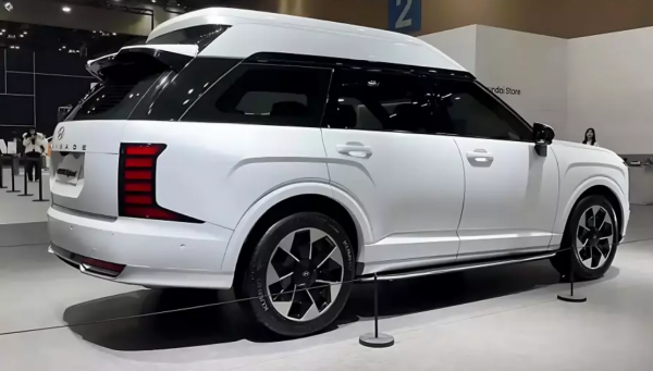 Hyundai Palisade crossover gets unusually high roof: details