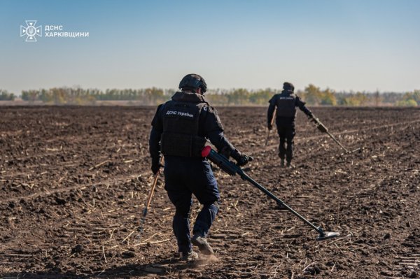 Humanitarian Development - 2025: goals and priorities
