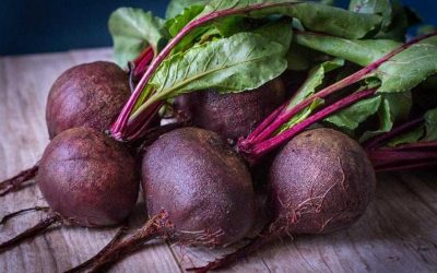 Table beet prices in Ukraine have risen 2.5 times year-on-year, reaching 22–32 UAH/kg. The reason is a shortage of quality produce and limited supply by growers.