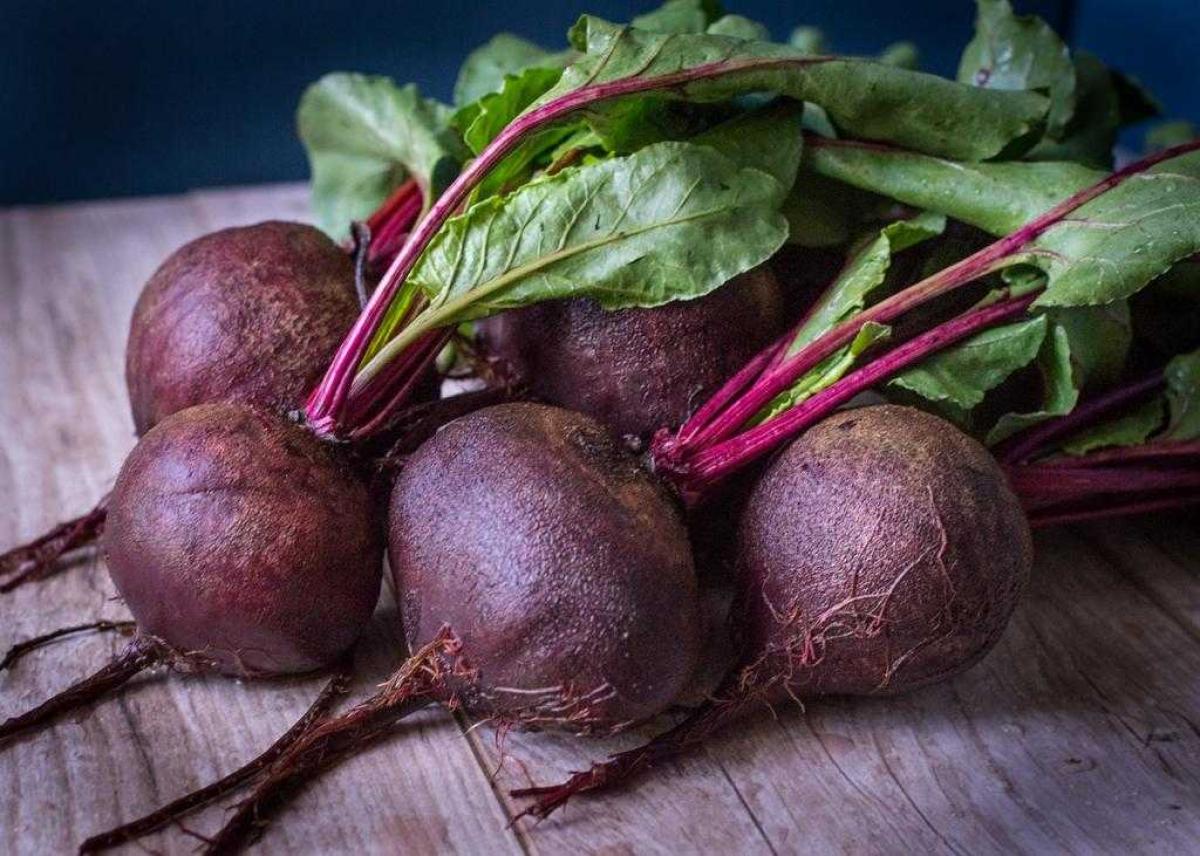 Table beet prices in Ukraine have risen 2.5 times year-on-year, reaching 22–32 UAH/kg. The reason is a shortage of quality produce and limited supply by growers.