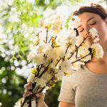 Learn how to identify spring bloom allergies, what symptoms indicate hay fever, and how to effectively manage seasonal allergic reactions.