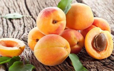 Learn when and how to plant apricots to achieve a great harvest. Tips on timing, soil, location, and planting techniques for healthy trees.