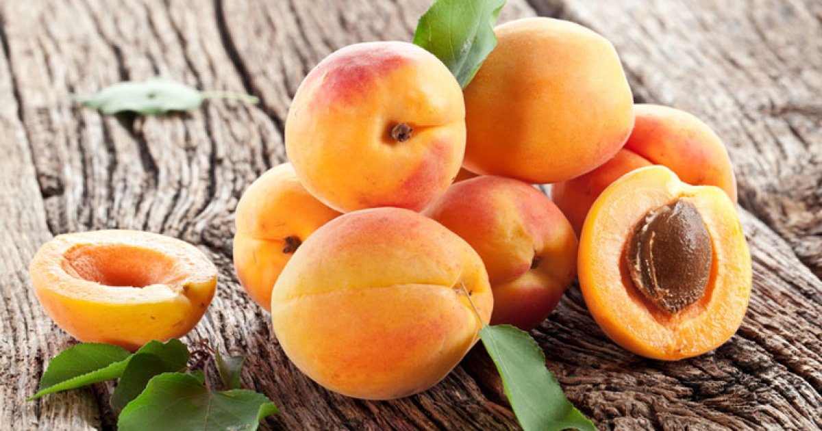 Learn when and how to plant apricots to achieve a great harvest. Tips on timing, soil, location, and planting techniques for healthy trees.