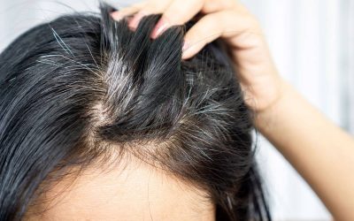 Why do young people go gray early? We explore the causes of premature graying: genetics, stress, diet, and more.