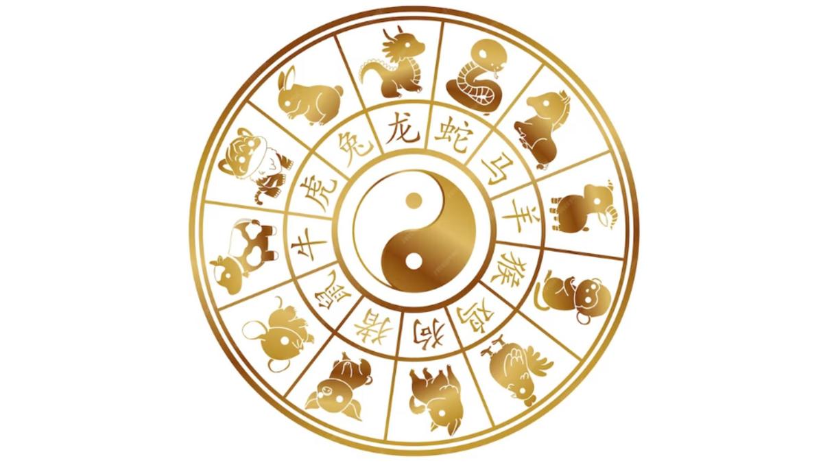Find out what the stars have in store for each zodiac sign on July 11, 2025. Daily horoscope for love, money, health, and career insights.