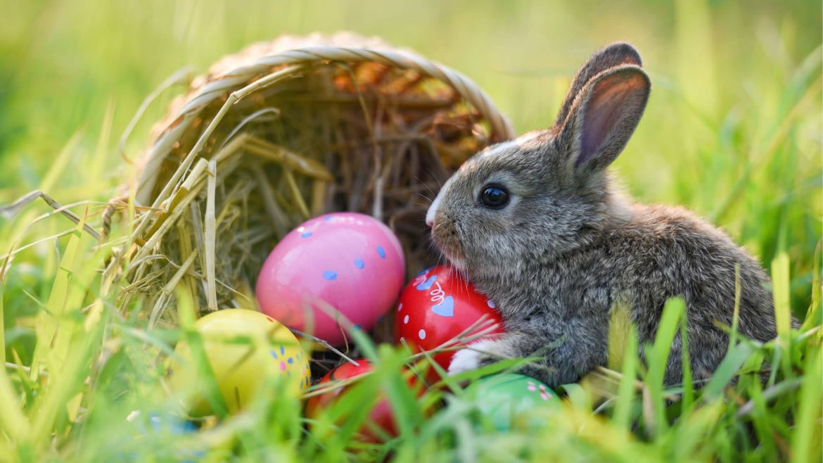 Plan your Easter in Baltimore 2026 with our expert guide. Discover the best egg hunts, holiday brunches, church services, and family events in Maryland's Charm City.