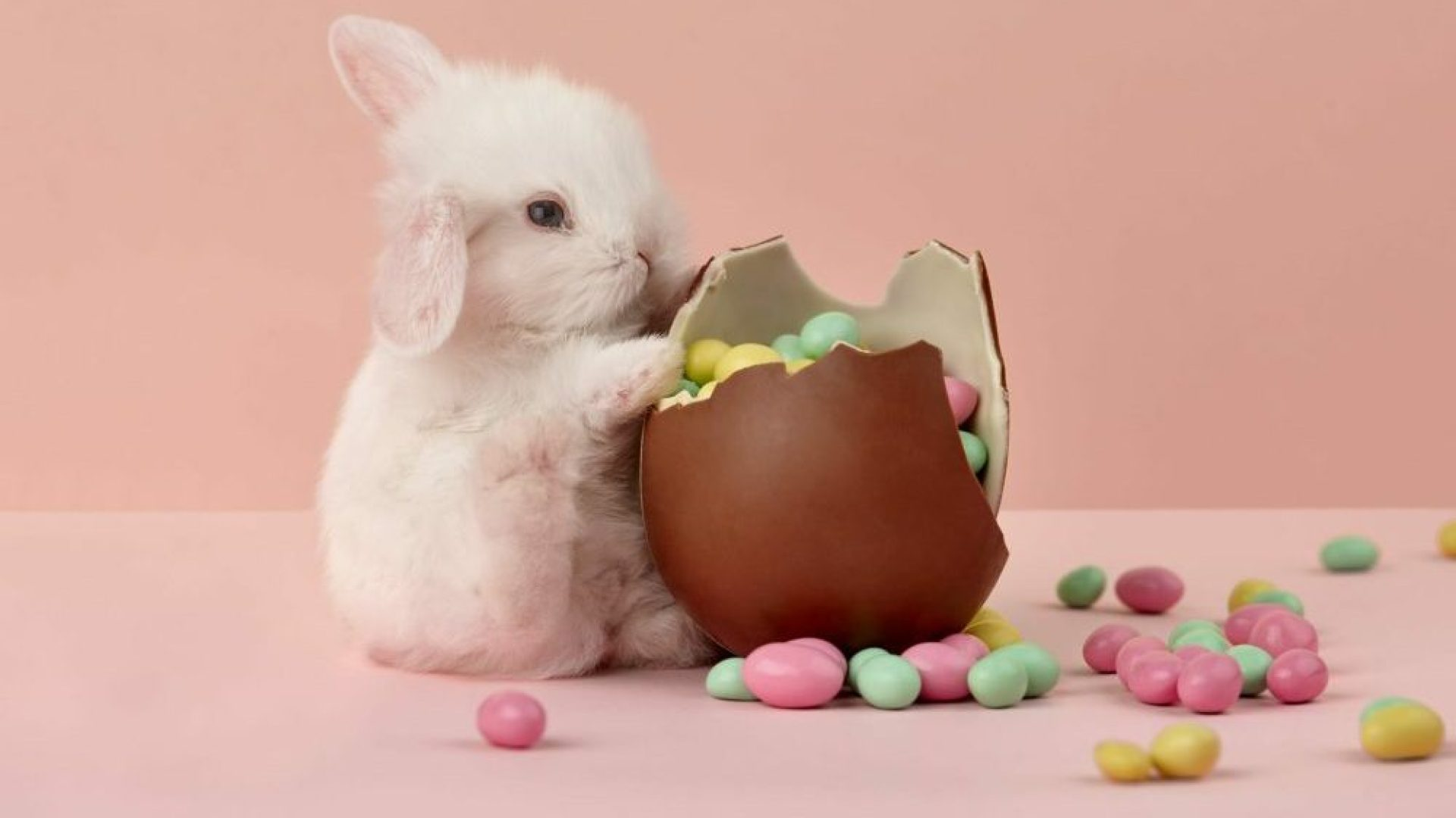 How to celebrate Easter in Baltimore 2026: best places to visit and brunch deals