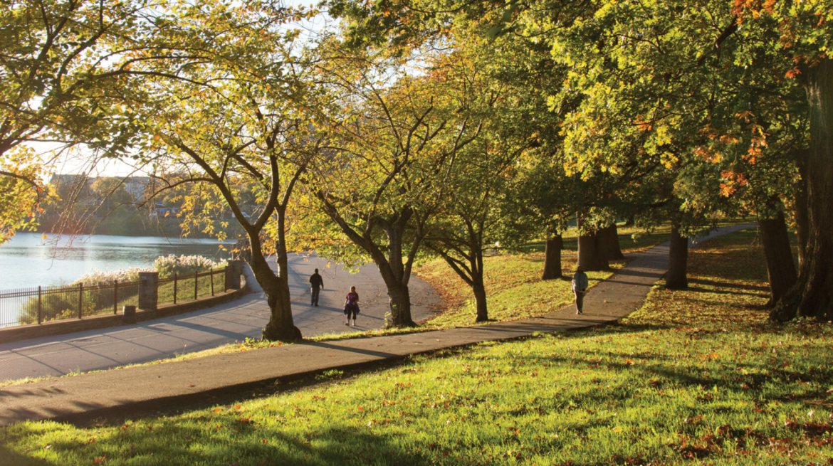 Best parks in baltimore guide for 2026. Discover top spots for walking, running, and family fun in Druid Hill, Patterson Park, and Federal Hill with local tips.