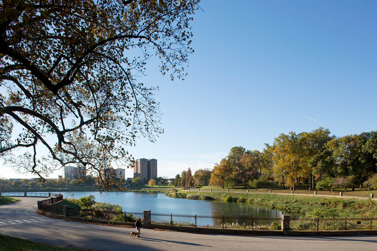 Best Parks in Baltimore for Walking, Running, Families, Dogs