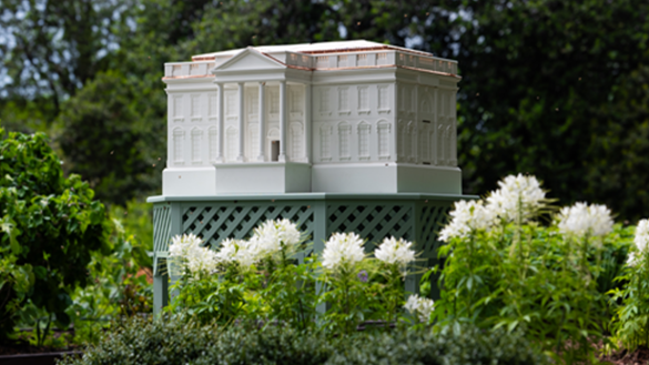 Melania Trump announces expansion of the White House honey program with a custom beehive, increasing local honey yields and supporting National Mall pollination.
