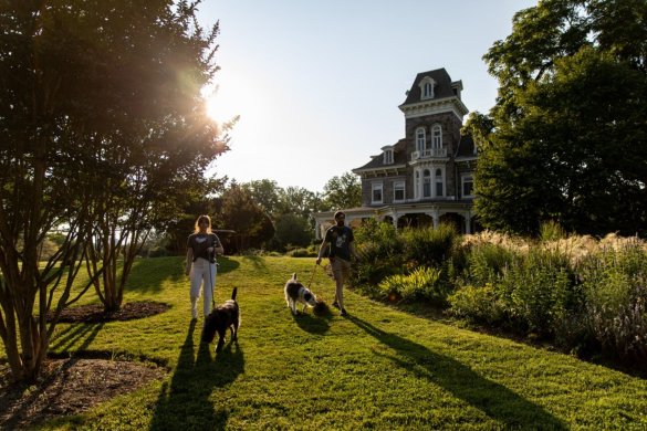 Baltimore pet owner guide: Learn about dog parks, pet-friendly apartments, licensing rules, and top-rated pet services for a perfect life in Charm City.
