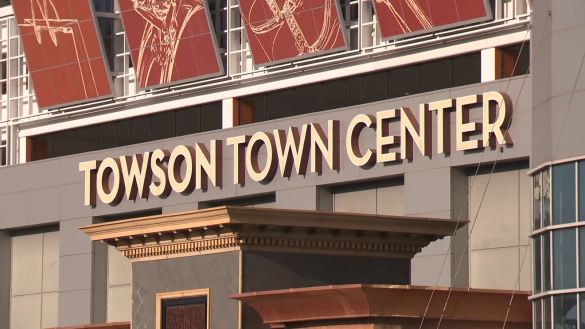 Teens arrested for armed carjacking in Towson garage as police detail suspects, charges and safety concerns after April 25 incident.