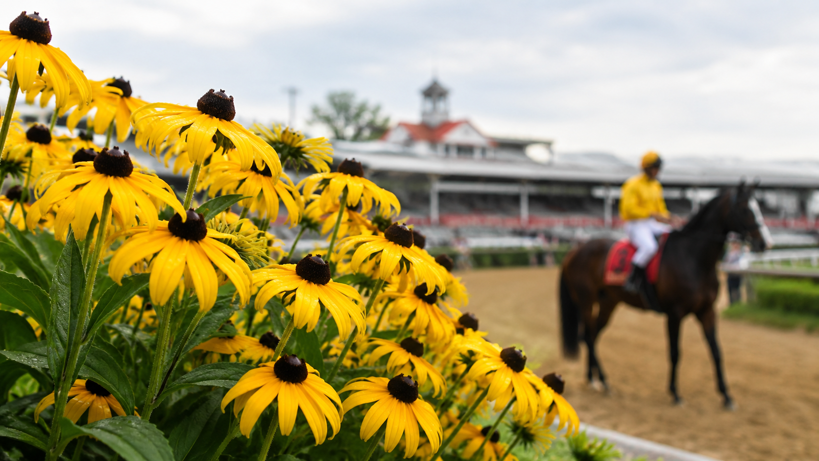 Black-Eyed Susan Day 2026: What Baltimore Fans Should Know Before Preakness Weekend
