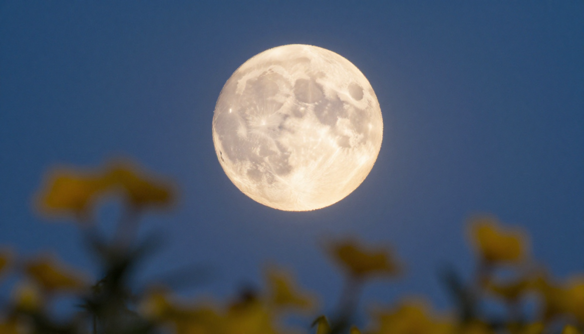 A Flower Moon Is Coming on May 1 to start a month of rare sky events. Learn about peak illumination times, the Blue Micromoon, and the best ways to view the sky.