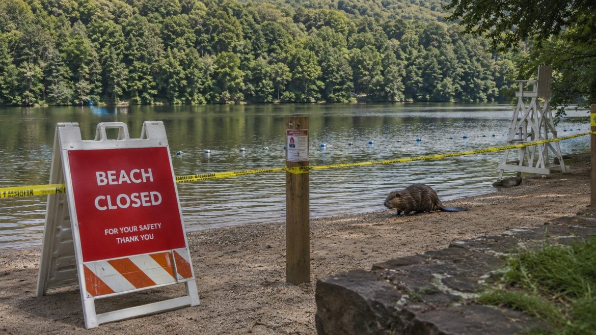 Rabid beaver bite closes Cunningham Falls swimming beach after a 13-year-old boy is injured and the animal tests positive for rabies.