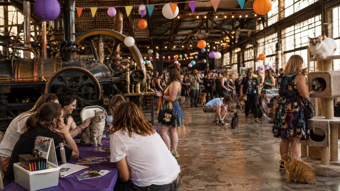 Baltimore KittyCon brings 1,000 cat lovers to the Baltimore Museum of Industry for adoptions, workshops, vendors and BARCS fundraising.