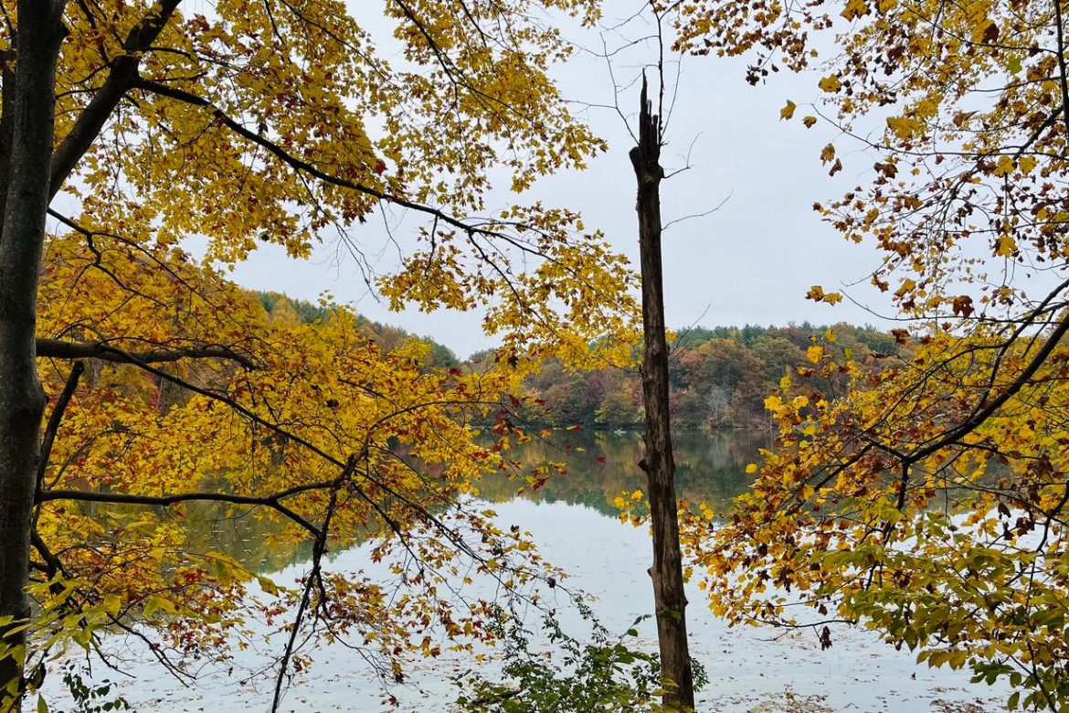 Fall foliage along the shoreline at Seneca Creek State Park in Maryland