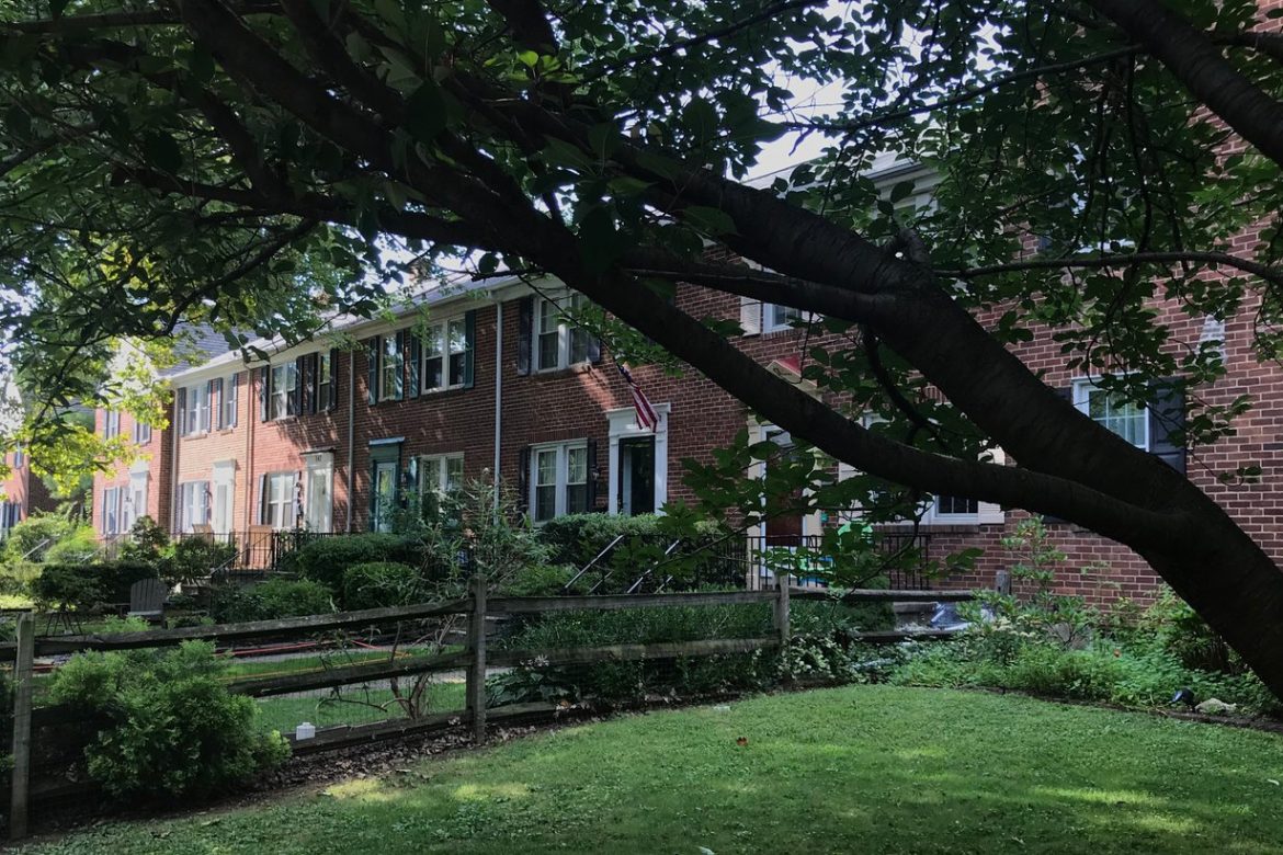Brick rowhomes behind a wooden fence and lawn in the Rodgers Forge neighborhood of Baltimore County